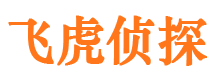 龙湖私家调查公司